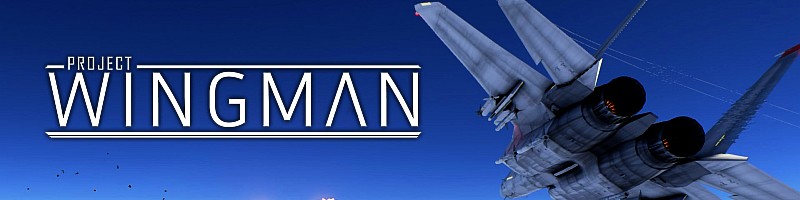 project wingman banner